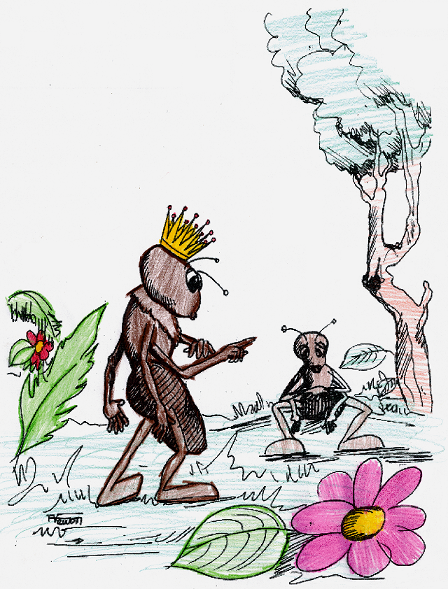 Formirei Aconselhando Formigo